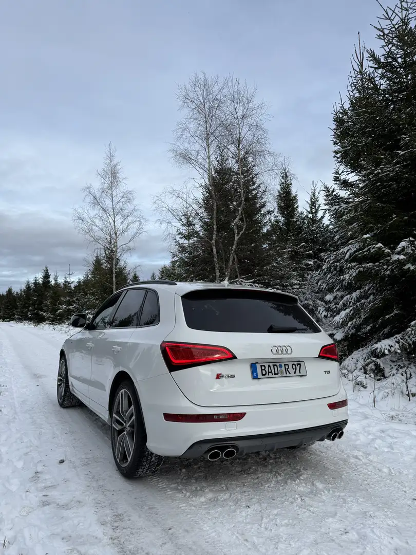 Audi SQ5 3.0 TDI competition Scheckheftgepflegt Weiß - 1