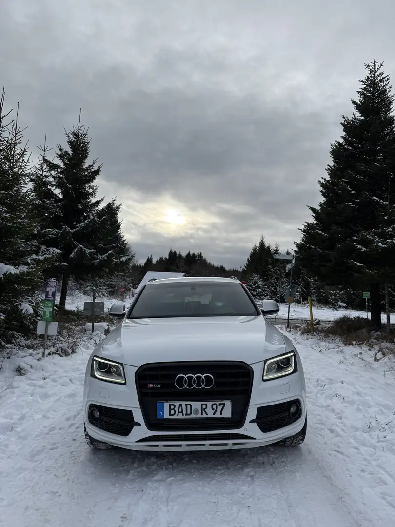 Audi SQ5 3.0 TDI competition Scheckheftgepflegt Weiß - 2