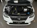 SEAT Ibiza 1.0 TGI Style Fast Lane Temp. CarPlay R.Cam Alb - thumbnail 17