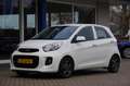 Kia Picanto 1.0 CVVT DynamicLine Trekhaak Cruise-control Clima Bianco - thumbnail 2