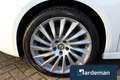 Alfa Romeo Giulietta 1.4 T Distinctive Pano Leder Alb - thumbnail 20