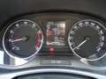 Skoda Fabia SW 1.2 TSI Ambition Gris - thumbnail 14