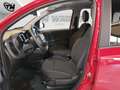 Fiat Panda Cross 1.0 firefly hybrid (Red) s Rojo - thumbnail 9