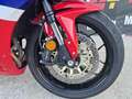 Honda CBR 600 Video 360 km 2000 Rosso - thumbnail 7