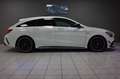 Mercedes-Benz CLA 45 AMG 4M DCT~DEUTSCH+UNFALLFREI+AERO KIT Weiß - thumbnail 10