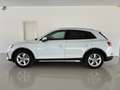 Audi Q5 Q5 35 2.0 tdi 163 CV mhev Advanced s-tronic Blanco - thumbnail 5