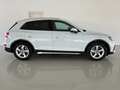 Audi Q5 Q5 35 2.0 tdi 163 CV mhev Advanced s-tronic Blanco - thumbnail 4