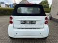 smart forTwo ForTwo cabrio Wit - thumbnail 8