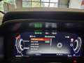 Nissan Qashqai MY25//N-Connecta//Cold Pack//Pano// Grau - thumbnail 9