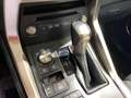 Lexus NX 300 h Executive Line Panodach Gris - thumbnail 14