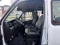 Iveco Daily 35C14 DOPPIA CABINA RIBALTABILE EURO 6 Wit - thumbnail 10