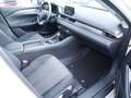 Mazda 6 Kombi SKYACTIV-G 194 FWD Exclusive-Line LED Weiß - thumbnail 2