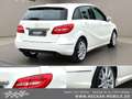Mercedes-Benz B 180 Sportpaket Xenon Navi Parkassi PDC Sitzhzg Weiß - thumbnail 7