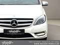 Mercedes-Benz B 180 Sportpaket Xenon Navi Parkassi PDC Sitzhzg Weiß - thumbnail 11