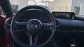 Mazda 3 2024 2.0 e-SKYACTIV-G MHEV 122CV 6MT FWD EXCLUSIVE Rojo - thumbnail 14