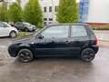 Volkswagen Lupo 1.0 College*TÜV/AU 11/2024* crna - thumbnail 3