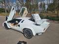 Lamborghini Countach Replika Replica Nachbau Saier Catapult Weiß - thumbnail 11