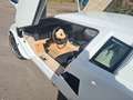 Lamborghini Countach Replika Replica Nachbau Saier Catapult Weiß - thumbnail 12