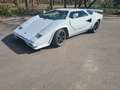 Lamborghini Countach Replika Replica Nachbau Saier Catapult Weiß - thumbnail 2