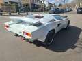 Lamborghini Countach Replika Replica Nachbau Saier Catapult Weiß - thumbnail 5