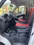 Fiat Ducato 2.3  130 cv cassonato - thumbnail 7