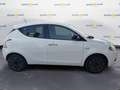 Lancia Ypsilon 3ª serie 1.0 FireFly 5 porte S&S Hybrid Gold Bianco - thumbnail 5