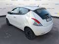 Lancia Ypsilon 3ª serie 1.0 FireFly 5 porte S&S Hybrid Gold Bianco - thumbnail 8