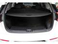 Kia Niro Hybride 1.6 GDi - 105 %2B Electric 43.5 ch - Stop&Go - BV DCT6 Active Blanc - thumbnail 17