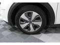 Kia Niro Hybride 1.6 GDi - 105 %2B Electric 43.5 ch - Stop&Go - BV DCT6 Active Blanc - thumbnail 19