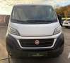 Fiat Ducato Kasten 150 L1H1 Navi Kamera Klima TÜV neu Weiß - thumbnail 2