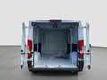 Fiat Ducato 30 L2H1 120 MJ Komfortsitz Klima Tempomat Blanc - thumbnail 14