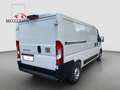Fiat Ducato 30 L2H1 120 MJ Komfortsitz Klima Tempomat Blanc - thumbnail 6