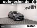 Skoda Fabia Drive 1.0TSI DSG Infotain LED ACC WINTER+ PDC Grau - thumbnail 1