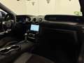 Ford Mustang Fastback 5.0 Ti-VCT GT Aut. Bleu - thumbnail 10