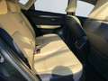 Lexus NX 300h Business Line *Bi-LED*Pano*RCam*SHZ*PDC* Schwarz - thumbnail 20