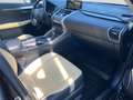 Lexus NX 300h Business Line *Bi-LED*Pano*RCam*SHZ*PDC* Schwarz - thumbnail 21