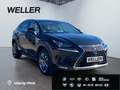 Lexus NX 300h Business Line *Bi-LED*Pano*RCam*SHZ*PDC* Schwarz - thumbnail 4
