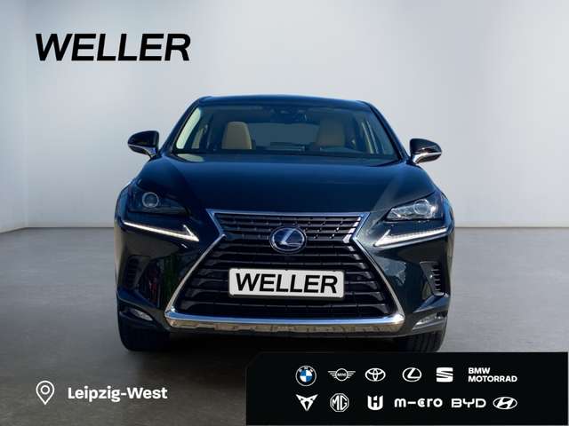 Lexus NX 300h Business Line *Bi-LED*Pano*RCam*SHZ*PDC*