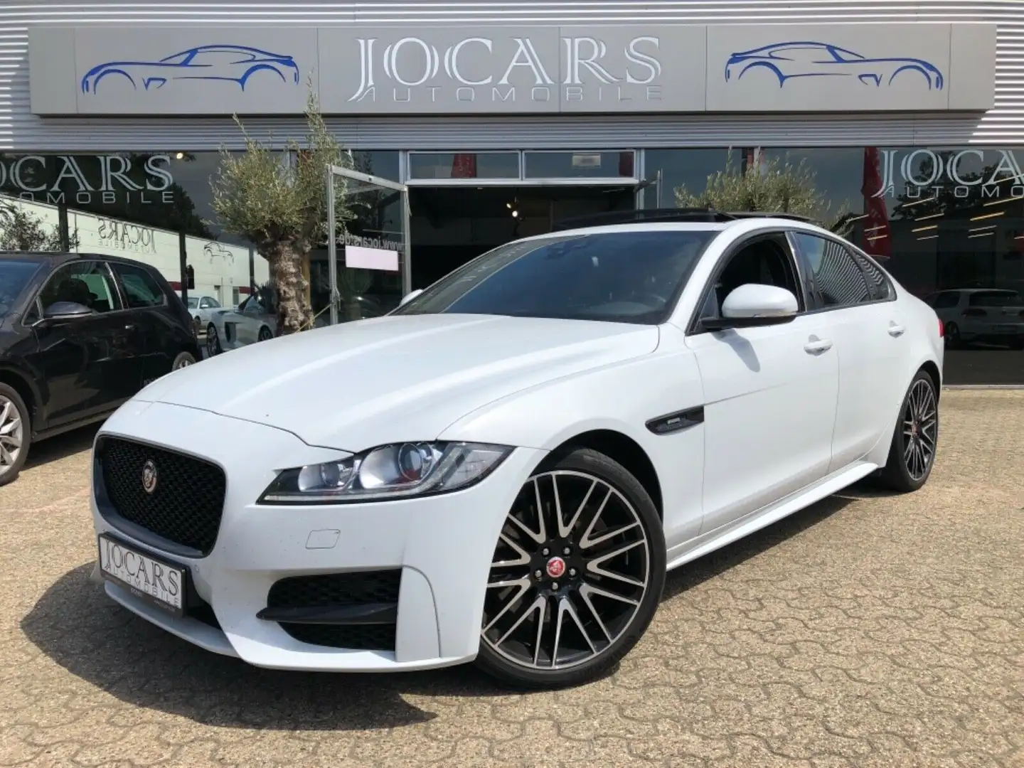 Jaguar XF 30d R-Sport LEDER | SOUND |BI-XENON |PANORAMA Weiß - 1