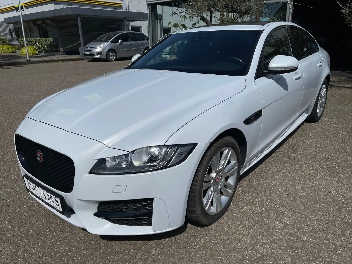 Jaguar XF 30d R-Sport LEDER | SOUND |BI-XENON |PANORAMA Blanc - 1