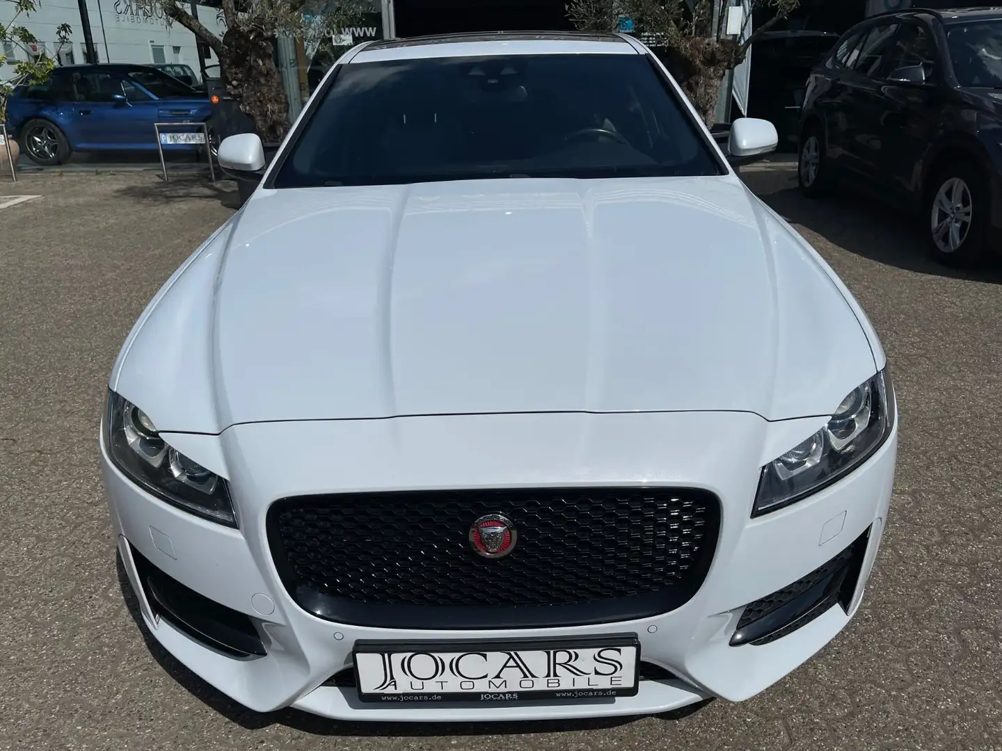 Jaguar XF 30d R-Sport LEDER | SOUND |BI-XENON |PANORAMA Blanc - 2