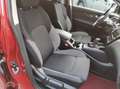 Nissan Qashqai Zama Autom PANO Navi KLIMA Sitzhzg Kamer Rot - thumbnail 7