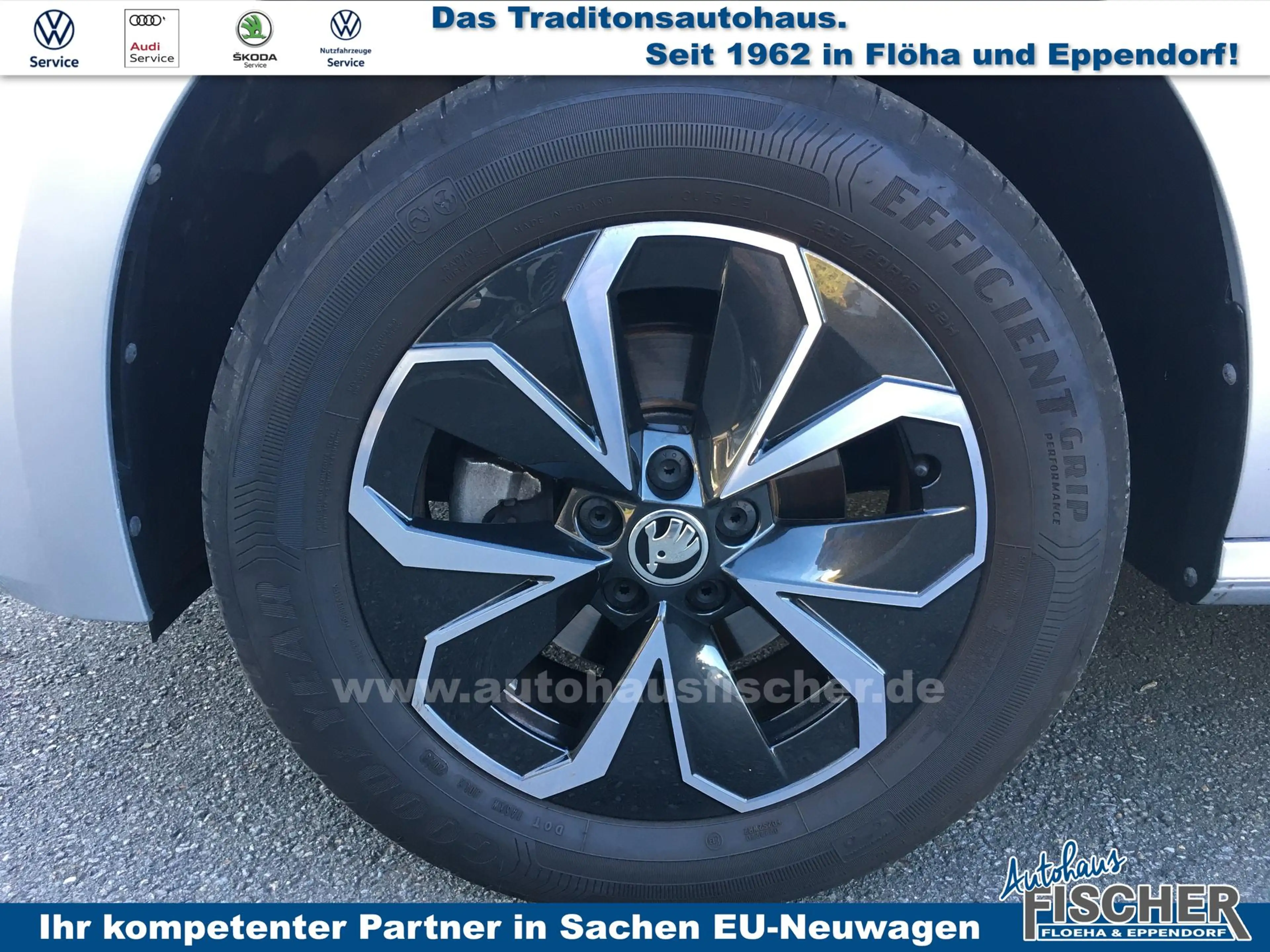 Skoda Kamiq Kamiq 1.0 TSI Ambition AHK Alu16 Parksensoren v+h — photo 15