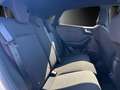 Ford Puma ST Line Winter Paket DachSchwarz Kamera PDC Blanc - thumbnail 9