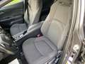 Toyota C-HR C-HR Hybrid 1.8i VVT-i C-Business Plus E-CVT Gris - thumbnail 16