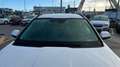 Kia Niro 1.6 GDI HEV DRIVE 141 5P Blanco - thumbnail 25
