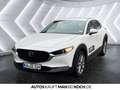 Mazda CX-30 2025 2.0L SKY-X 186ps 6MT Centre DASO M+S in Weiß - thumbnail 3