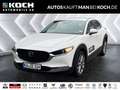 Mazda CX-30 2025 2.0L SKY-X 186ps 6MT Centre DASO M+S in Weiß - thumbnail 1