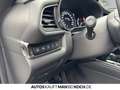Mazda CX-30 2025 2.0L SKY-X 186ps 6MT Centre DASO M+S in Weiß - thumbnail 21