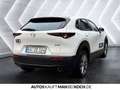 Mazda CX-30 2025 2.0L SKY-X 186ps 6MT Centre DASO M+S in Weiß - thumbnail 5